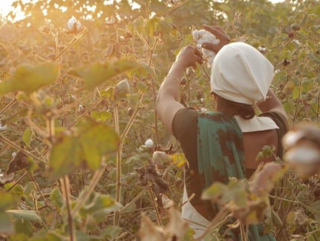 Woman holding cotton.