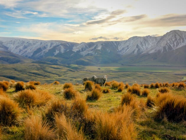 fields in front of mountains.