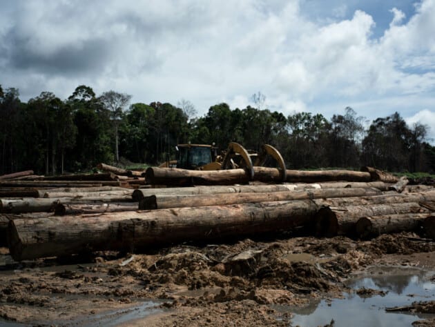 logging equipment and logs.